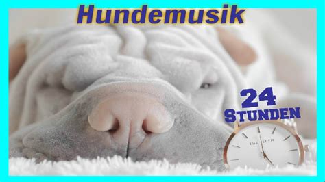 Stunden Hundemusik Sanfte Schlafmusik F R Hunde Ihren Besten