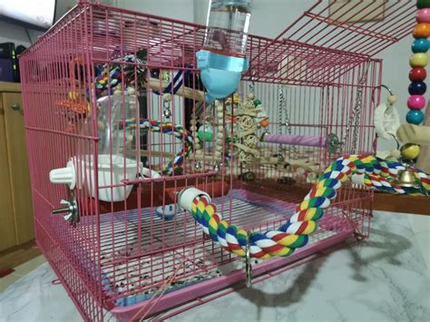 Parrot Lovebirds Cage Pink Pet Supplies Homes Other Pet