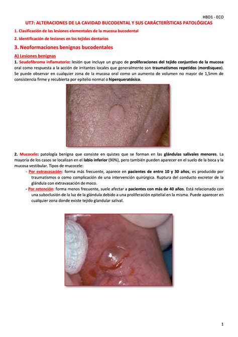 Solution U Alteraciones Cavidad Bucodental Patolog A A Studypool