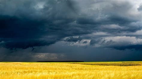 Stormy Skies Tree Darkness Clouds Sky Storm Hd Wallpaper Peakpx