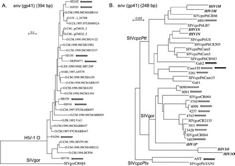 A And B Phylogenetic Relationships Between HIV 1 Group O Strains A