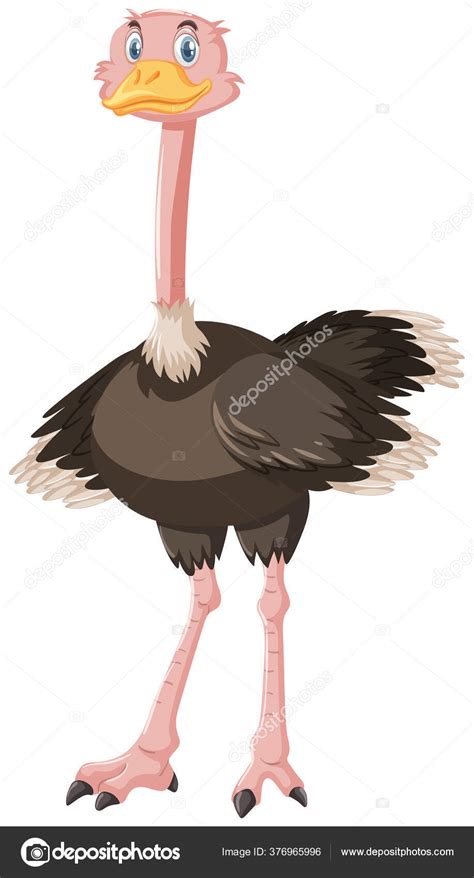 Cute Ostrich Cartoon Character Illustration Stock Vector By