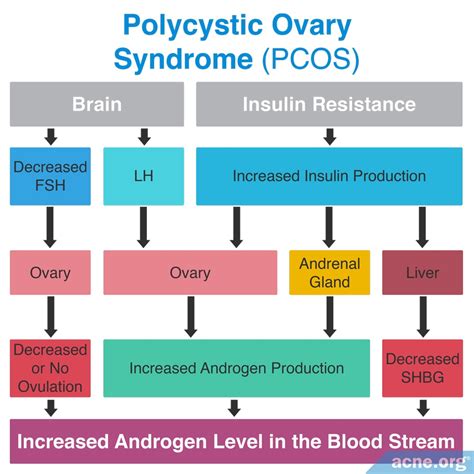 What Is Polycystic Ovary Syndrome Pcos And How Does It Affect Acne