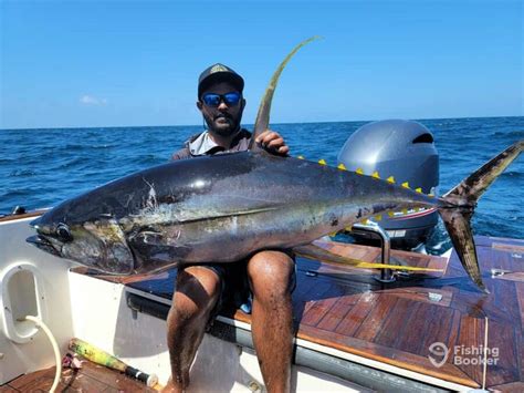 Best Times And Seasons To Fish In The Maldives Complete Guide