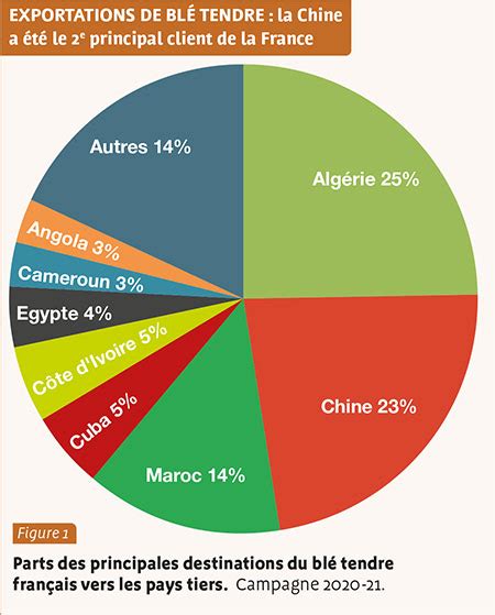 Percée des céréales russes en Algérie la riposte française Algerie