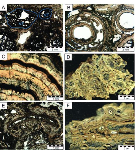 A Detrital Microfacies Carbonate Coatings Around Volcanic Fragments