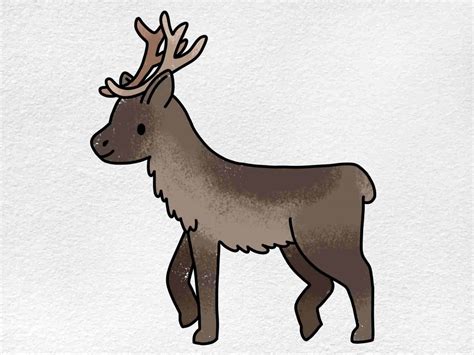 How To Draw A Real Reindeer