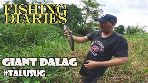 Nakahuli Kami Ng Malaking Dalag At Hito Sa Ilog Fishingdiaries