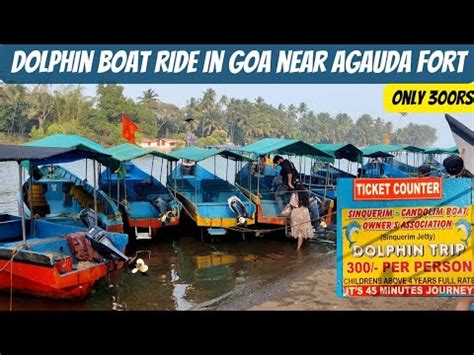 Dolphin Ride In Goa Only 300Rs Dolphin Point Goa Water Activities