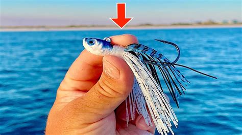 Saltwater Jig Fishing YouTube