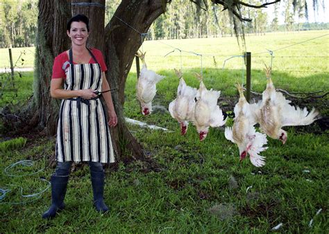 Chicken Processing Walter Stein Flickr