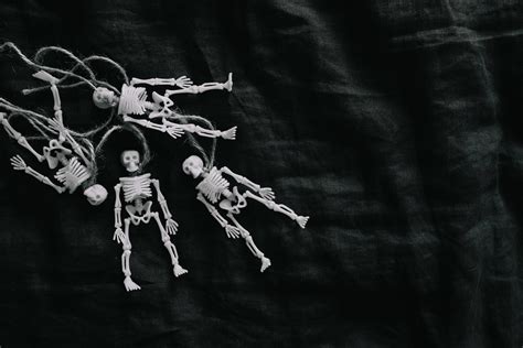 100 Skeleton Desktop Wallpapers