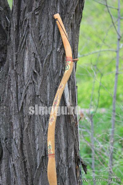 Лук монгольский