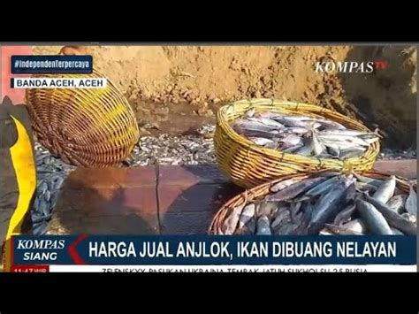 Nelayan Di Banda Aceh Buang Ikan Akibat Dari Harga Jual Anjlok Youtube