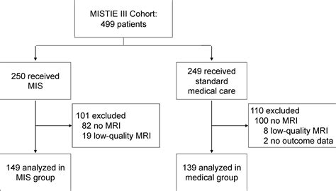 Cerebral Small Vessel Disease Modifies Outcomes After Minimally