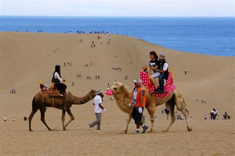 Picturesque Japan: The Tottori Sand Dunes - WAttention.com