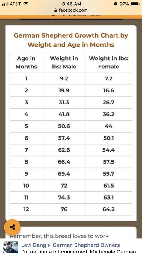 German Sheperd Growth Chart