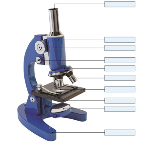 Parts Of A Microscope Diagram Quizlet