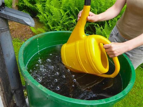 Gartenbew Sserung Planen Kologische Und G Nstige L Sungen