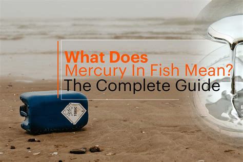 What Does Mercury In Fish Mean? The Complete Details Guide & Buying ...