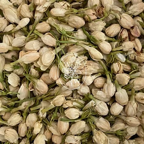 Ane Kristiansen Dried Jasmine Flowers For Sale Jasmine Flower Jasmine Tea And Medicinal