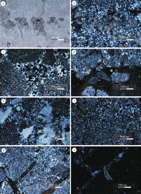 Photomicrographs Showing The Representative Characteristics Of The