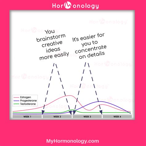 2 ways your hormones boost your brain skills