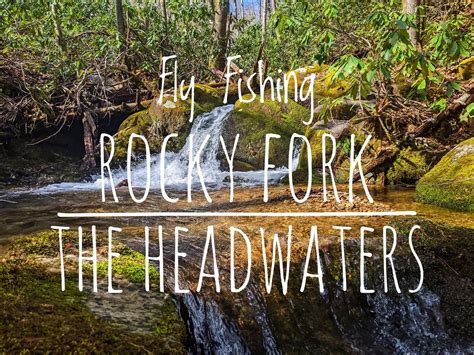 Fly Fishing Rocky Fork The Headwaters Save Quit Fish