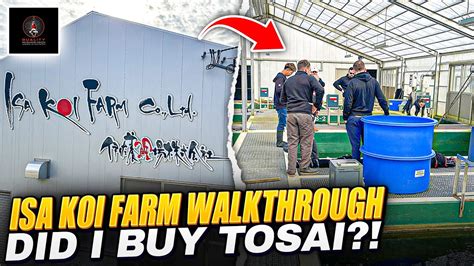 Isa Koi Farm Walk Through Did We Buy Tosai Youtube