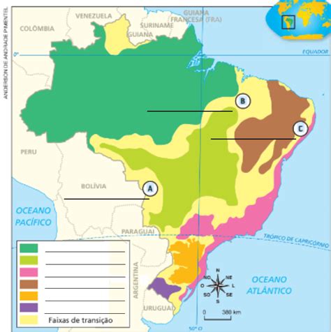 Ci Ncias Da Natureza Quais S O As Caracter Sticas Dos Biomas