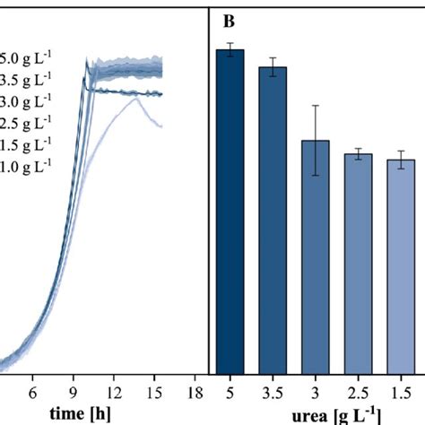 Urea Concentration Profiling During Batch Growth Of C Glutamicum A