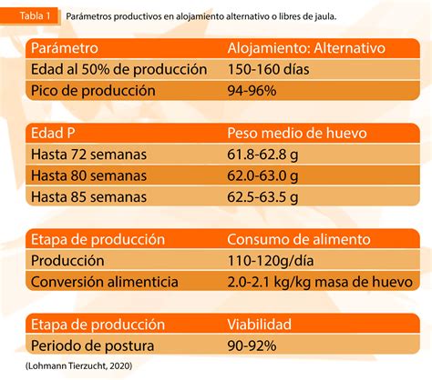 Cuántos Huevos Pone La Gallina Cuello Pelado