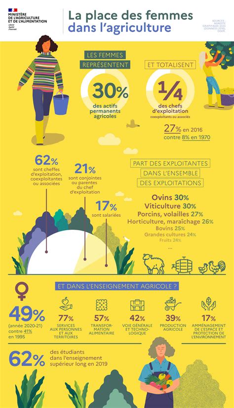 Infographie La place des femmes dans l agriculture Ministère de l