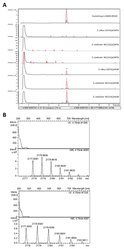 Antibiotics Free Full Text Identification And Heterologous