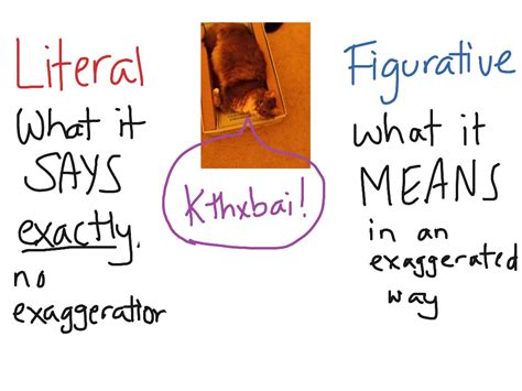 Figurative Vs Literal Language Worksheet