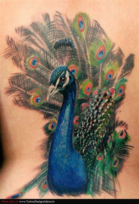 52 Vogel Tattoo Ideen für erste oder nächste Tätowierung Pfau