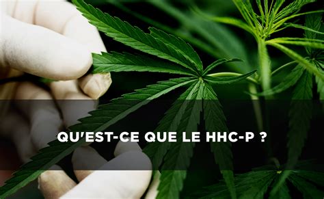 HHC P C est quoi ce nouveau cannabinoïde