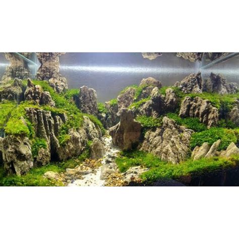 Jual Batu Pasir Sand Stone Aquascape Cocok Untuk Tema Paludarium