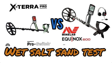 Minelab X Terra Pro Vs Equinox 600 Salt Water Beach Showdown 14 Kt Gold