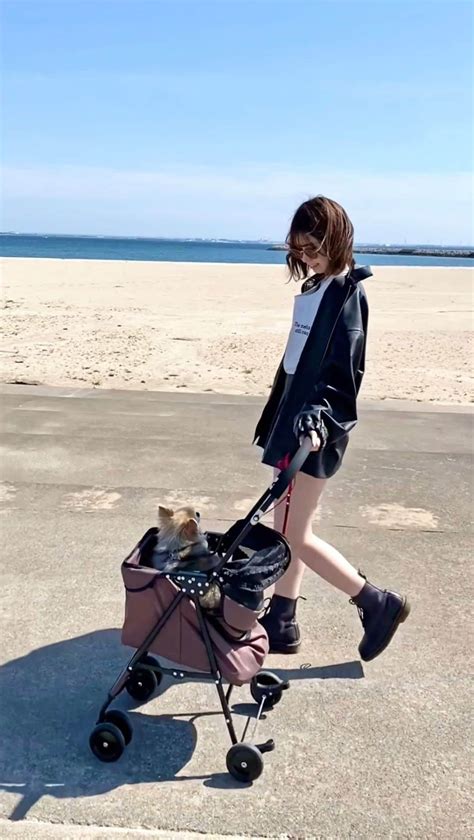 みーこさんのインスタグラム動画 みーこinstagram 「🐶🏝途中からすごい乗り出すじゃん笑 愛犬 愛犬とお出かけ 愛犬とお散歩