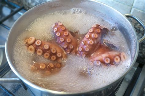 Consejos para cocer el pulpo logra la perfección culinaria