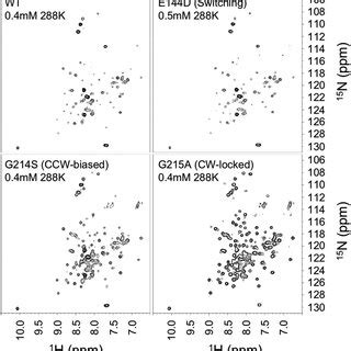 2D 1 H 15 N TROSY HSQC Spectra Of Vibrio FliG MC2 Fragment Of The