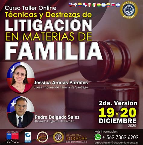 T Cnicas Y Destrezas De Litigaci N En Materias De Familia Academia