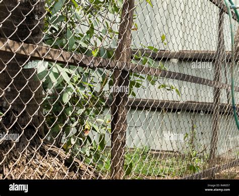 COLOR PHOTO OF CHAIN-LINK FENCE Stock Photo - Alamy