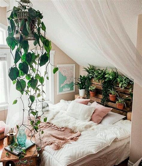 Descobrimos quais são as 7 plantas perfeitas para ter no quarto STEAL