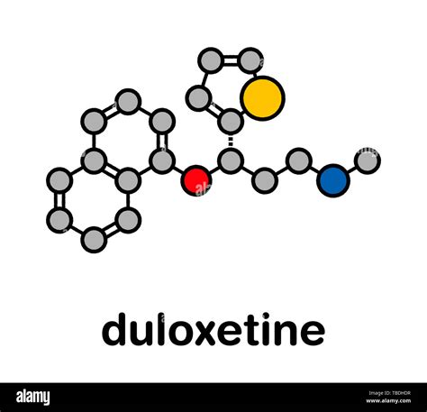 Duloxetine Antidepressant Drug Snri Class Molecule Also Used In