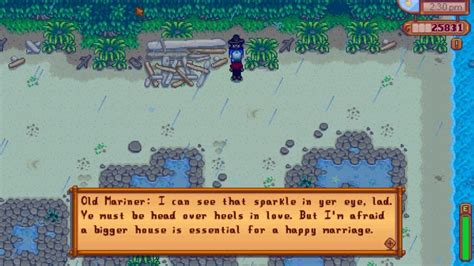 How To Get Mermaids Pendant In Stardew Valley Dexerto