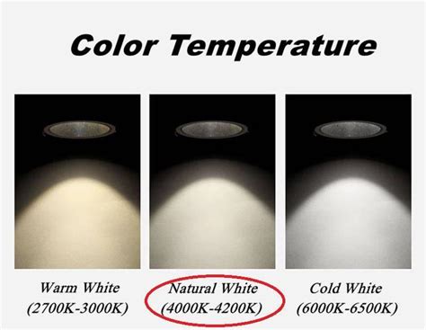 Cob Led Light Meaning Shelly Lighting