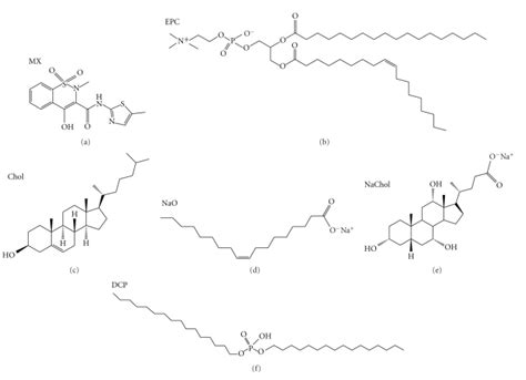 The Chemical Structure Of Meloxicam And The Lipid Compositions Of The