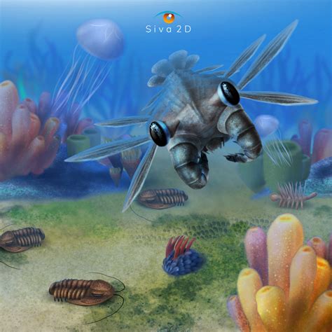 Cambrian Explosion By Luisblanco On Deviantart
